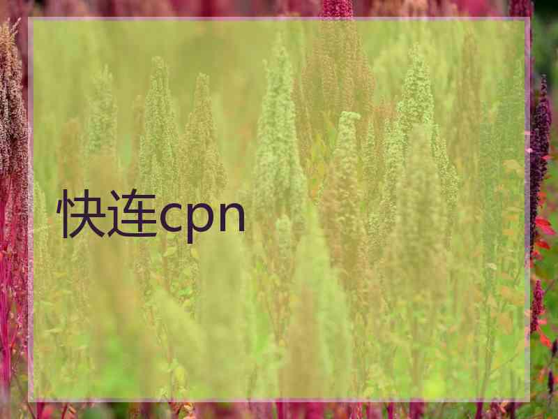 快连cpn
