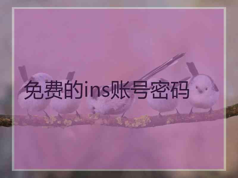 免费的ins账号密码