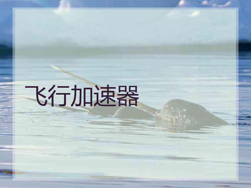 飞行加速器