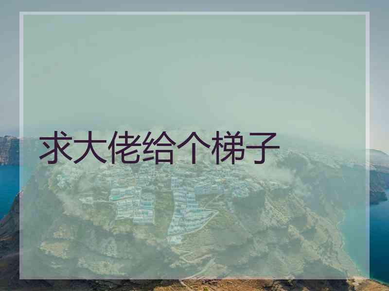 求大佬给个梯子