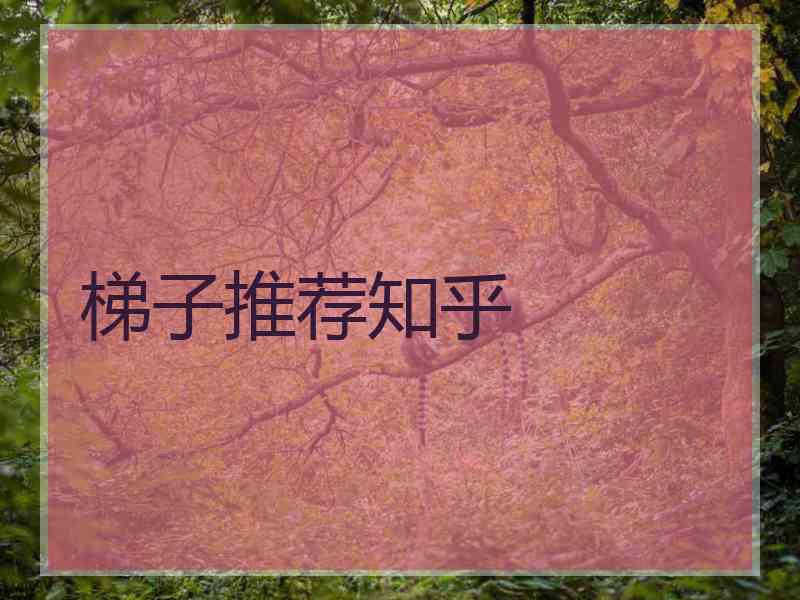 梯子推荐知乎