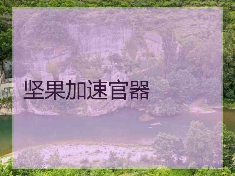 坚果加速官器