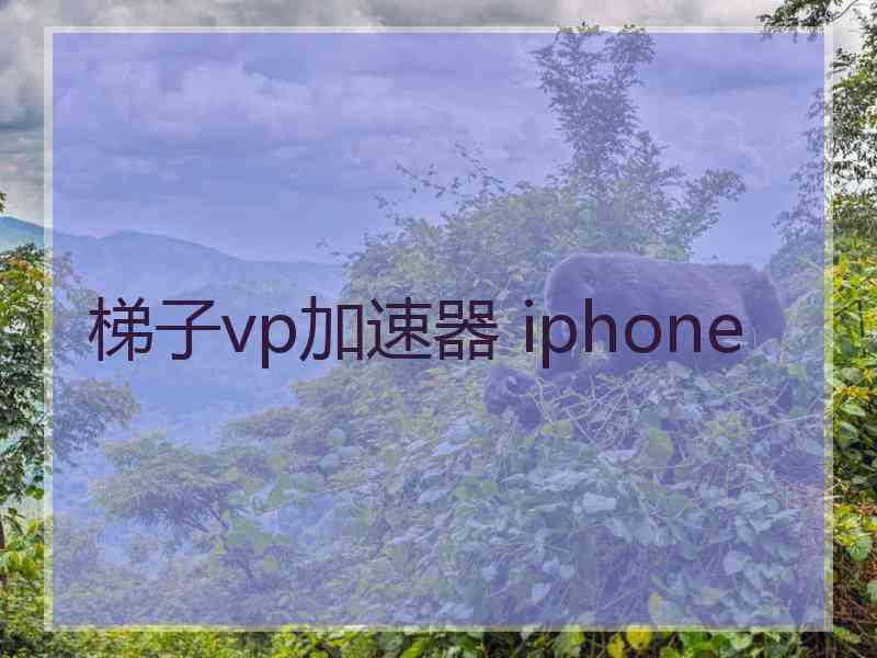 梯子vp加速器 iphone