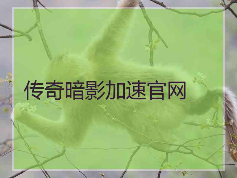 传奇暗影加速官网
