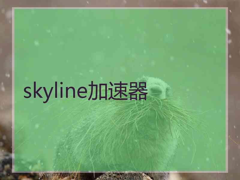 skyline加速器
