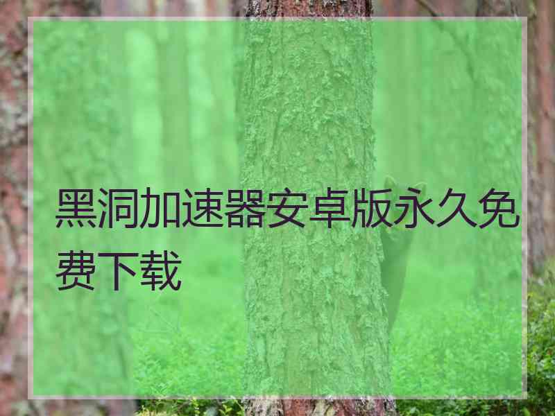 黑洞加速器安卓版永久免费下载