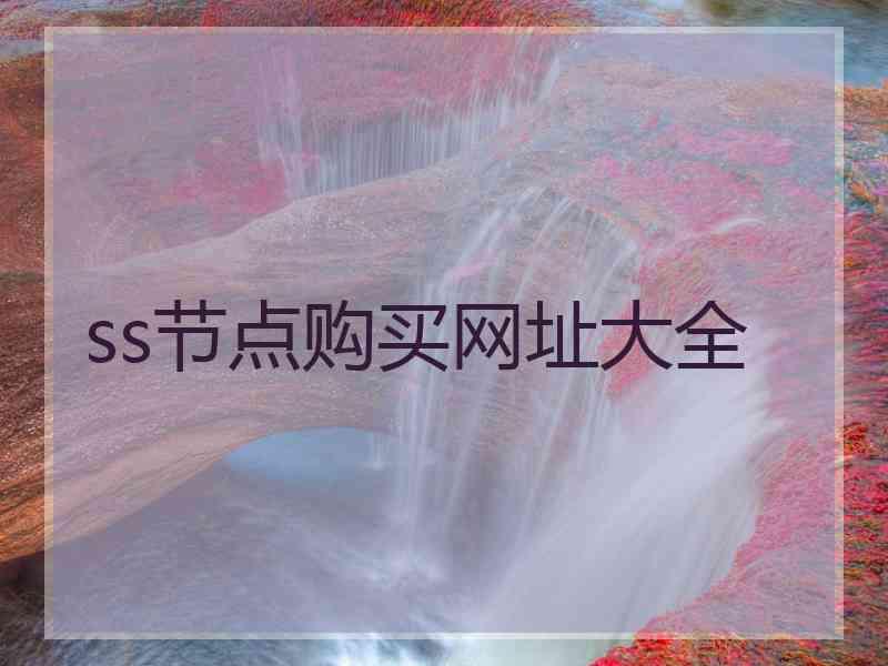 ss节点购买网址大全