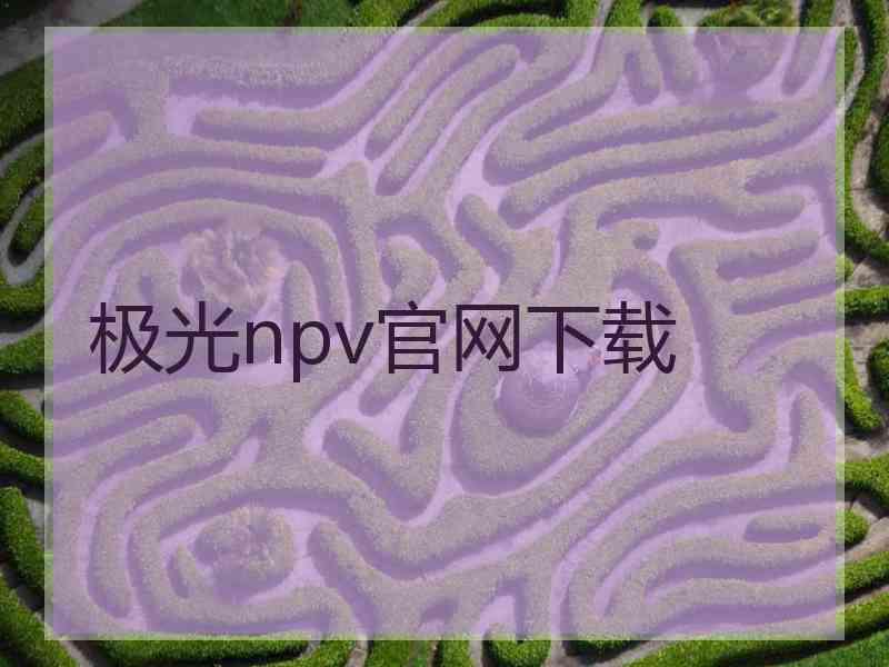 极光npv官网下载