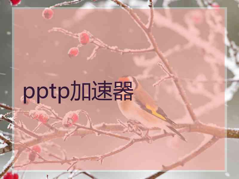 pptp加速器