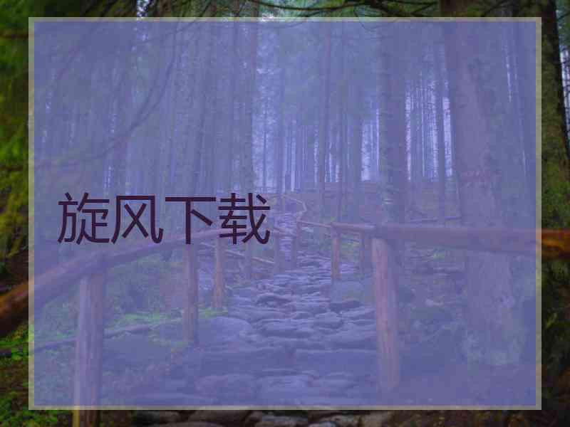 旋风下载