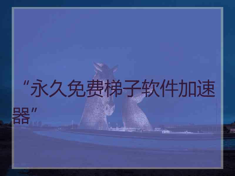 “永久免费梯子软件加速器”