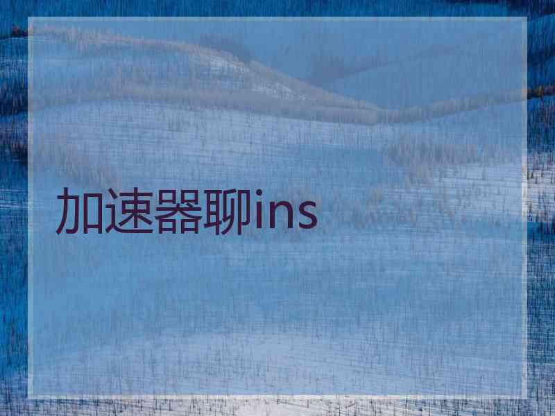加速器聊ins