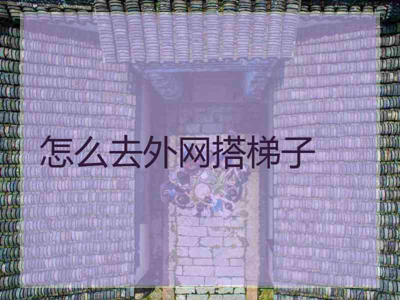 怎么去外网搭梯子