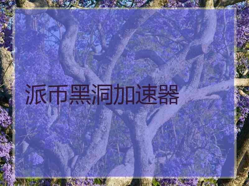 派币黑洞加速器