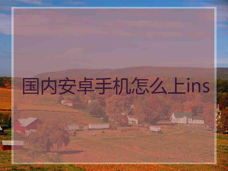 国内安卓手机怎么上ins