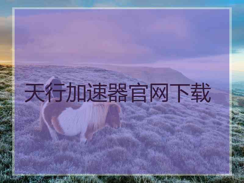 天行加速器官网下载