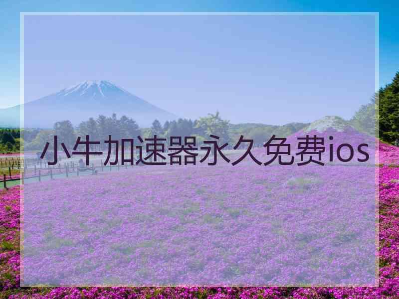 小牛加速器永久免费ios