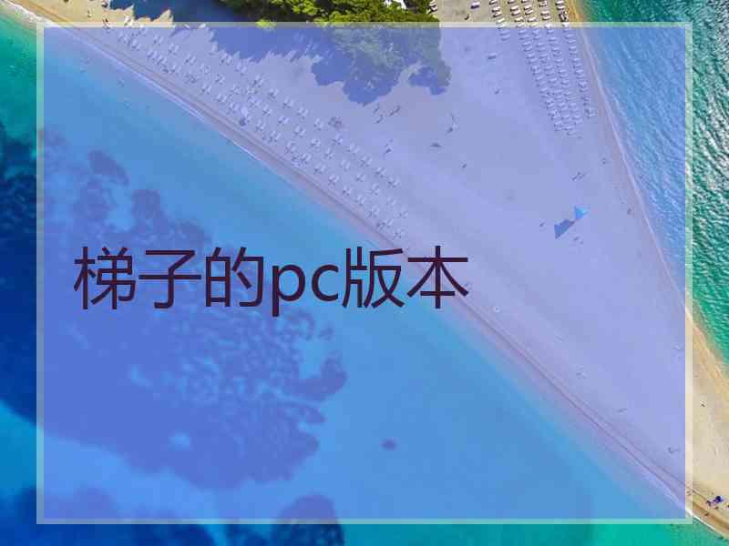 梯子的pc版本