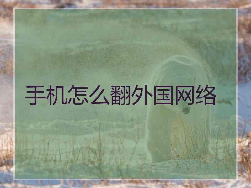手机怎么翻外国网络