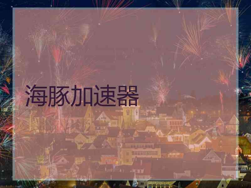 海豚加速器