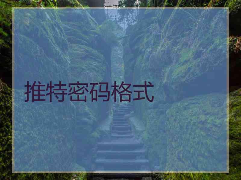 推特密码格式