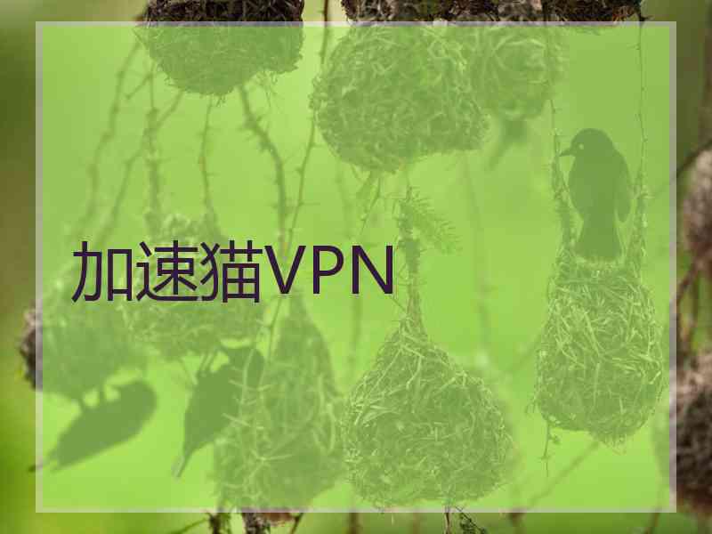 加速猫VPN