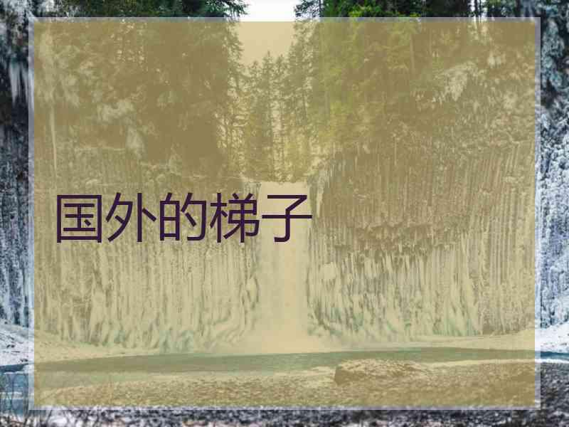 国外的梯子