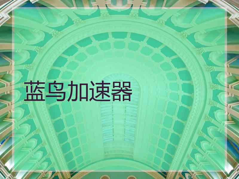 蓝鸟加速器