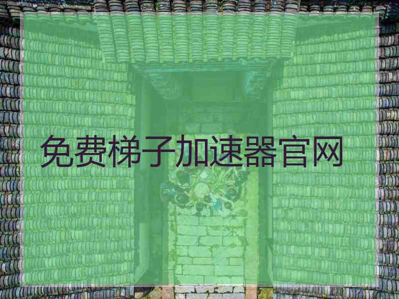 免费梯子加速器官网