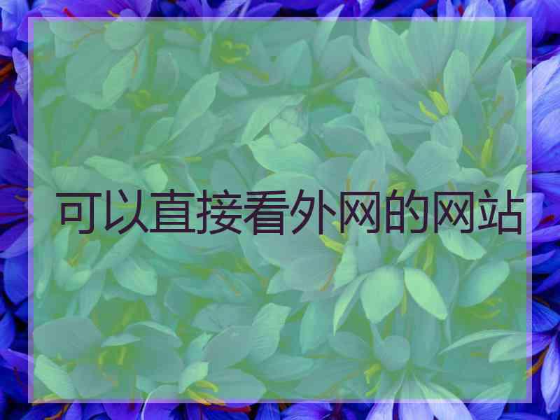 可以直接看外网的网站