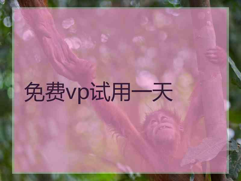 免费vp试用一天