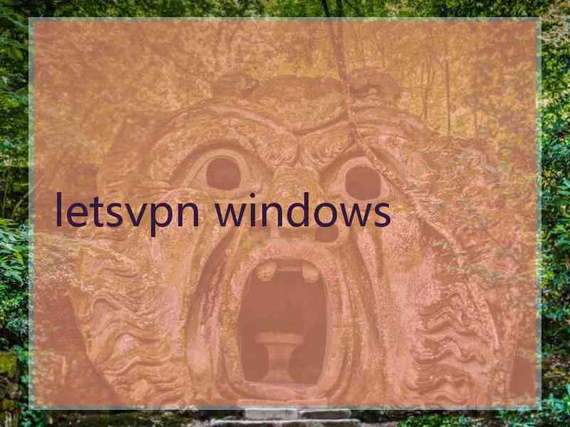 letsvpn windows