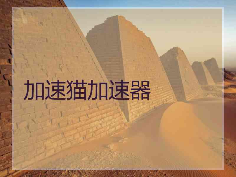 加速猫加速器