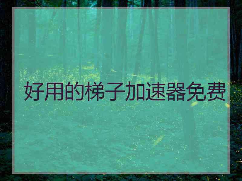 好用的梯子加速器免费