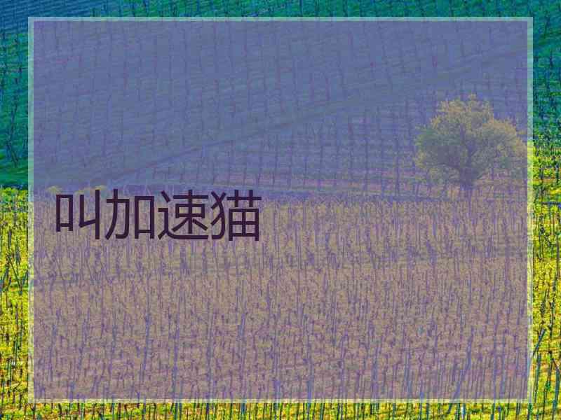 叫加速猫