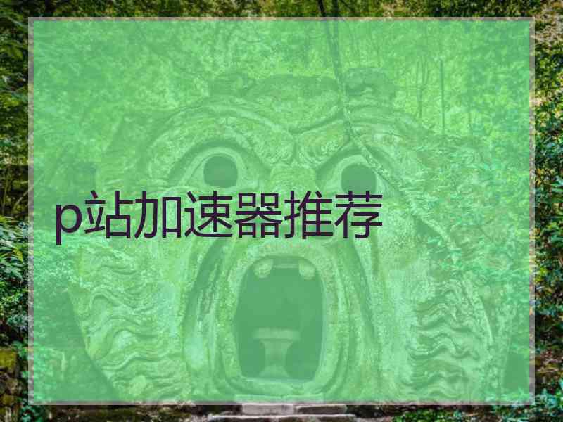 p站加速器推荐