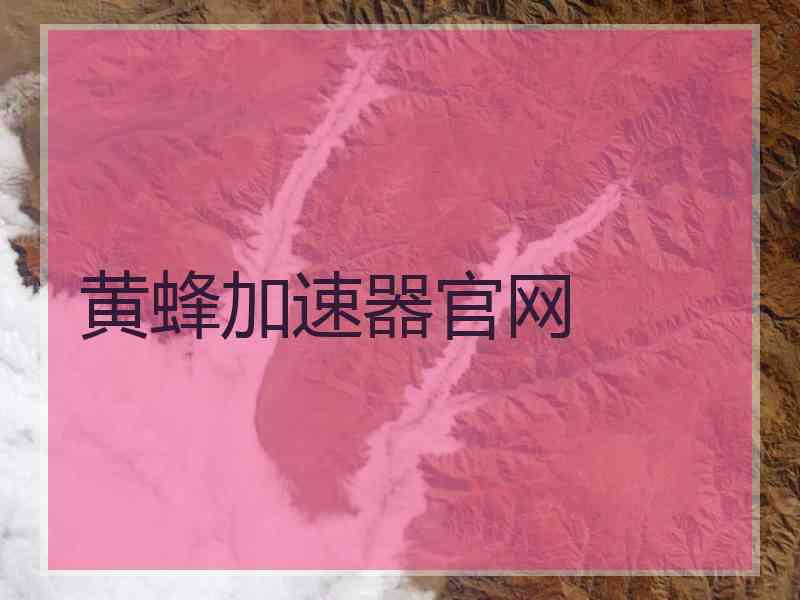 黄蜂加速器官网