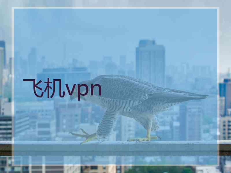 飞机vpn
