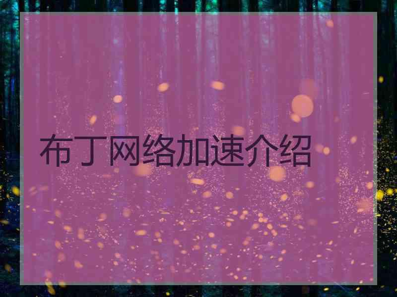 布丁网络加速介绍
