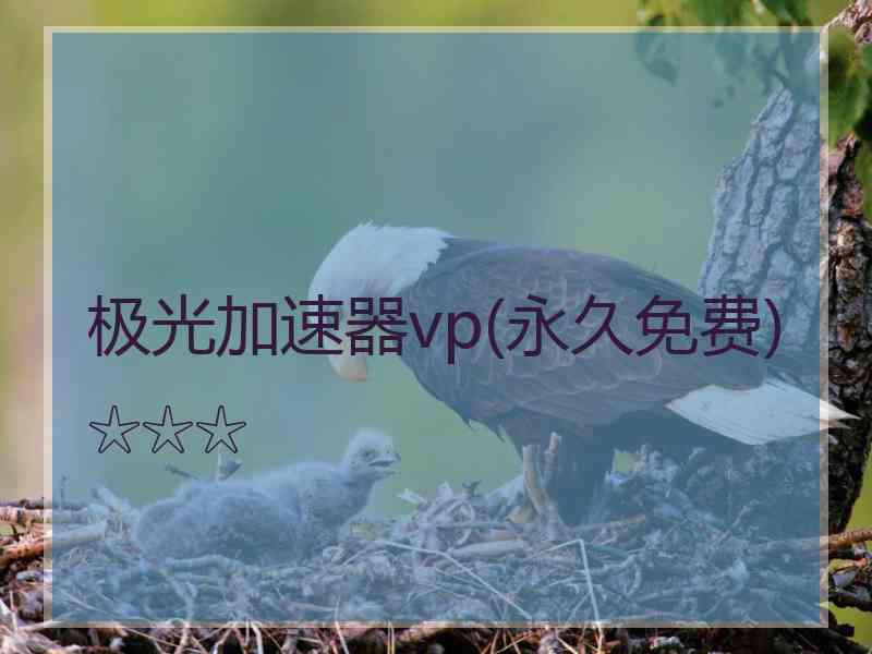 极光加速器vp(永久免费)☆☆☆