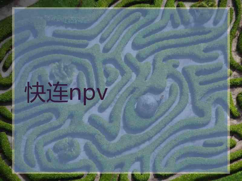 快连npv