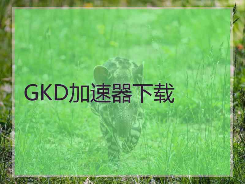 GKD加速器下载
