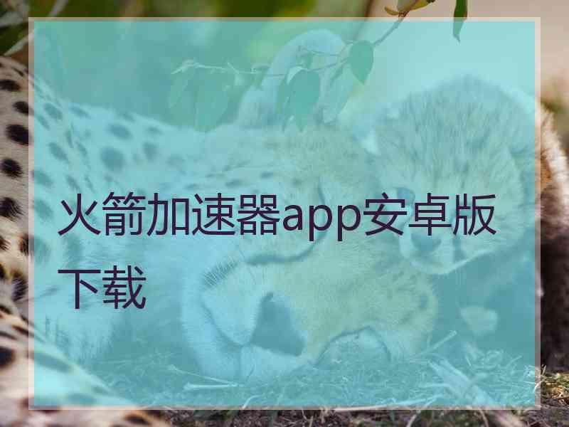 火箭加速器app安卓版下载