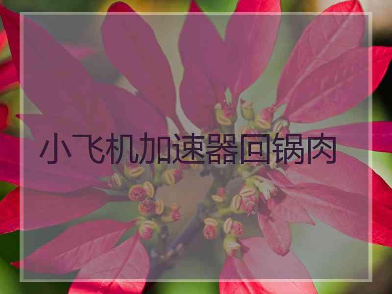小飞机加速器回锅肉