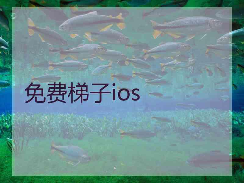免费梯子ios