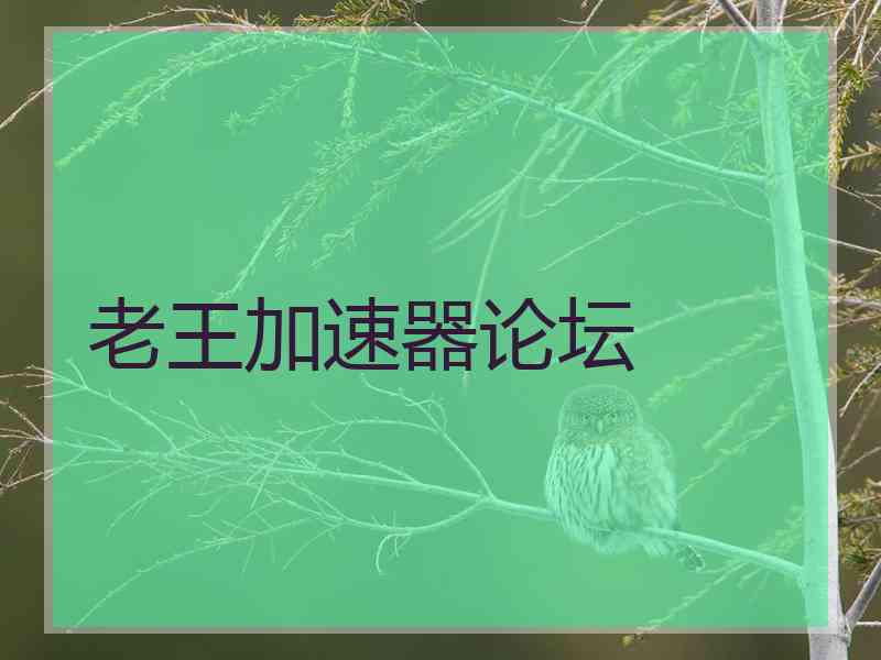 老王加速器论坛