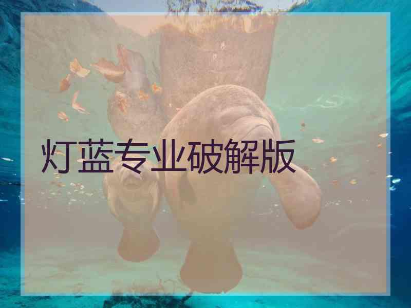 灯蓝专业破解版