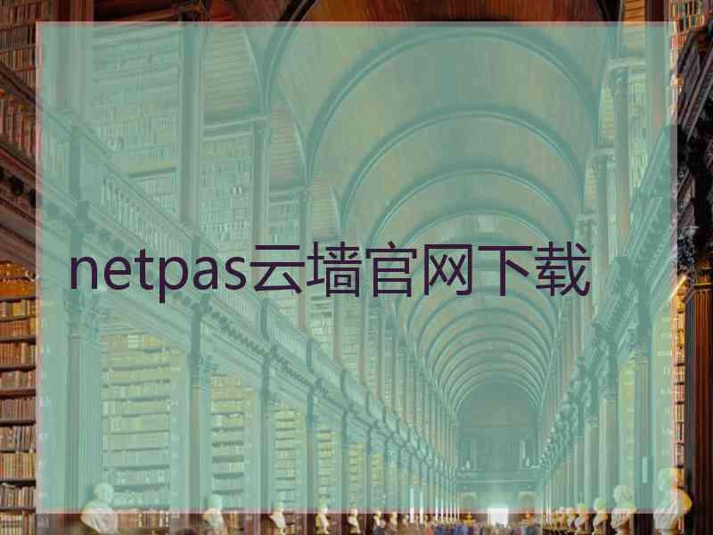 netpas云墙官网下载