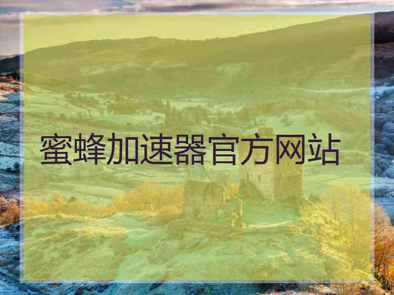蜜蜂加速器官方网站