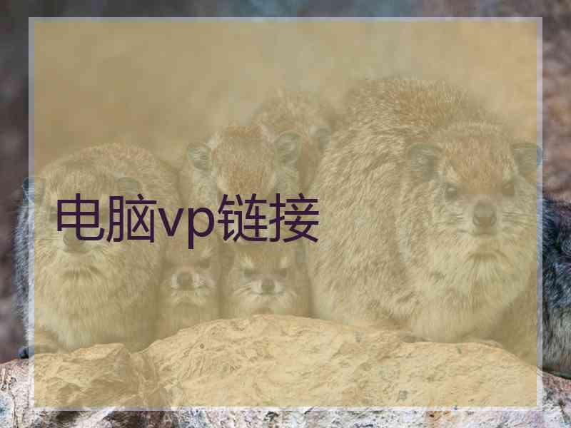电脑vp链接